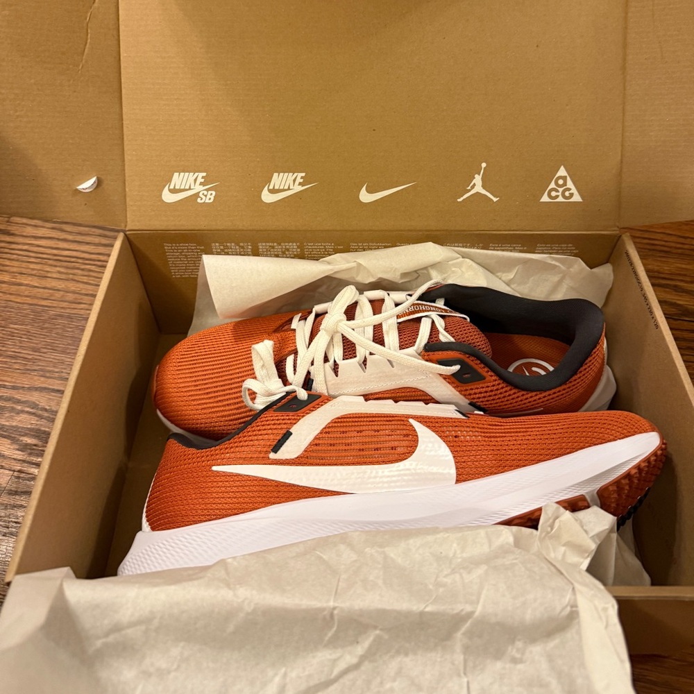 Men’s Nike Zoom Pegasus 40 Texas